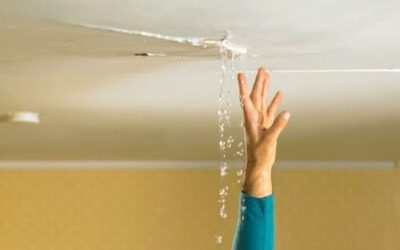 10 Signs Your Roof Needs Immediate Attention in Australia